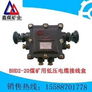 BHD2 20 127 6T矿用型低压电缆接线盒 济宁市鑫煤防爆电器分公司的专业解决方案